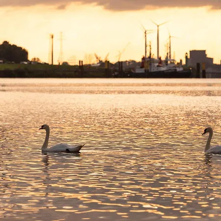 Hausboote Am Lankenauer Höft *